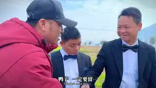 另请高明，海哥拒绝为国王凤英保媒，只因没有五成把握