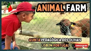 Shane Discovers Farm Life at Quinta Pedag&oacute;gica dos Olivais 🇵🇹 | Family Fun in Portugal! #portugal