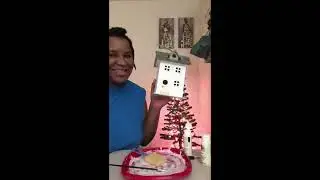 3. Roofing! Laying the shingles. // birdhouse townhouse (miniature house)