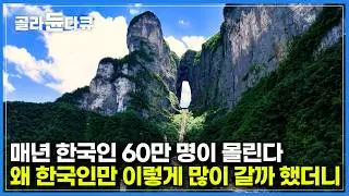 연간 한국인 방문객 60만 명. 중국 장가계가 한국이 가장 사랑하는 여행지가 된 이유｜3대 문파로 손꼽히는 여성 당파, 아미파｜부모님 효도여행 필수코스｜다큐프라임｜#골라듄다큐