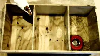 Pigeon Project
