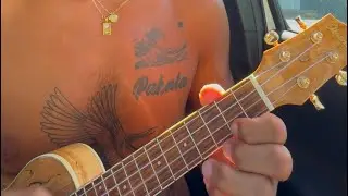 TITLE FIGHT Ukulele Cover