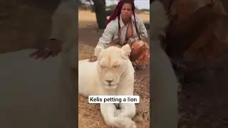 Kelis petting a lion