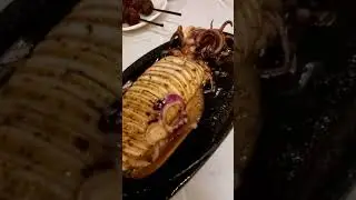 Sizzling Squid! 🤯🤯🤯