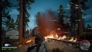 DAYS GONE  на PS4  ЛАГИ БАГИ и 
