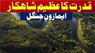 Amazon Forest Documentary in Urdu Hindi- | Fact about Amazon jungle | aaa discovery