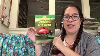 Ladybug LifeCycle