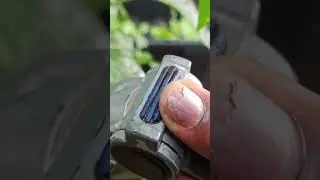 Beware Gardening Ruins One's Nails 🌿But The Health Benefits Are Amazing🌿