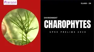 Charophytes Explained | Link Between Algae & Land Plants | Class 26 | Prelims 2026 #upscenvironment