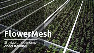 FlowerMesh bloemengaas voor stevige en duurzame ondersteuning | Royal Brinkman