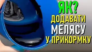 ЯК ДОДАВАТИ МЕЛЯСУ У ПРИКОРМКУ?  НАВІЩО  МЕЛЯСА У ПРИКОРМКУ?