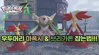 우두머리 마폭시 & 브리가론 잡는법!! [포켓몬 레전즈Z-A]