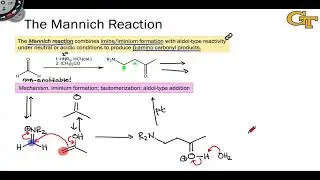 12.08 The Mannich Reaction