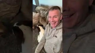 Puppy&rsquo;s First Bark! (wait to the end) 🐶 #shorts #puppy #dog