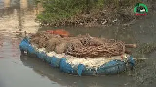 আজ আমরা তুলে ধরেছি খুলনা বিভাগের সাতক্ষীরা জেলার মরিচ্চাপ নদী।