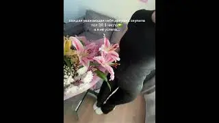 кто тоже не успел? #золотоеяблоко #акции #зя #goldapple #тренды