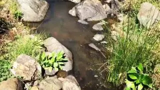 Spring at Watervale Safaris