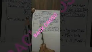 Back Cross #backcross #biologyclass12 #biology #study #class