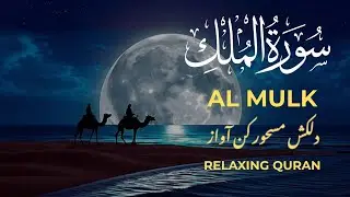 Surah Al-Mulk  (سورة الملك) | Listen Tonight for Peaceful Sleep & Protection | Calm Your Heart 🌙