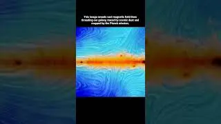 Why Gravity Rules the Universe (Even Over Magnetism) 🌌⚡