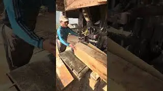 BIG LOG IN ACTION.Satisfying sawmill ASMR, real and dangerous.