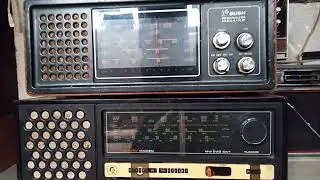FOR SALE TABLE RADIO  BUSH AND MURPHY ALL WARKING SET WATTASUP NO 9538536573