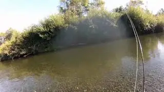 Ruamahanga River, Wairarapa, New Zealand, Late March 2013