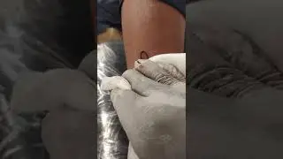 miracle Tattoos Nandyal