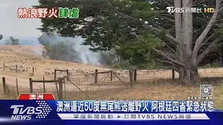 澳洲逼近50度無尾熊逃離野火 阿根廷四省緊急狀態｜TVBS新聞 @TVBSNEWS02