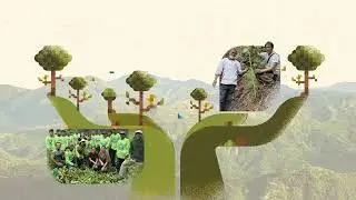 Forest Foundation Philippines Institutional Video (2023)