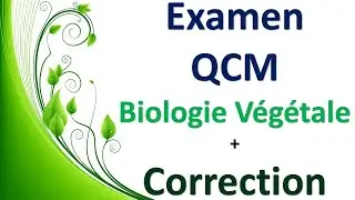 Examen QCM Biologie Végétale & Correction