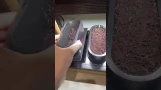 Meet the Auk Mini smart indoor herb garden 🌱👏