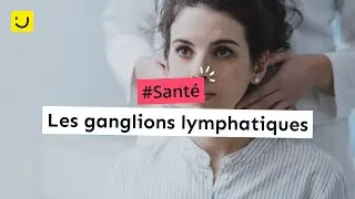 Les ganglions lymphatiques