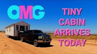 480 sq ft Tiny Home For Family of Five Arrives