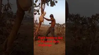 Fight training day 3 hundred days challenge #dkaran09 #karate #kungfu #jkd #martialarts # #shorts