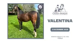 18 VALENTINA Criadero Casas del Parque *