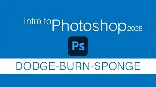 Dodge Burn Sponge