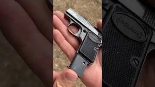 Grandma&rsquo;s Old Gun
