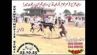Bull racing Pakistan Parwaz