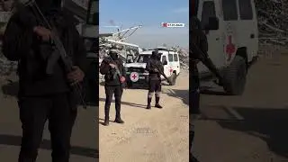 Hamas Renews Efforts to Locate Body of Last 'Israeli' Captive.mp4