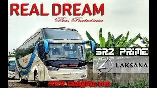 Bus Pariwisata Real Dream Legacy SR2 HD Prime