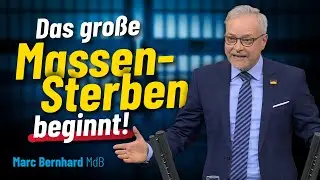 Das gro&szlig;e Massensterben beginnt!