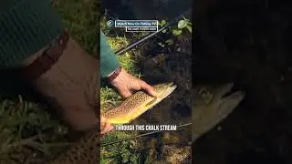 The unique chalk streams of southern England - &lsquo;The Game Fishers Diary&rsquo; on FishingTV