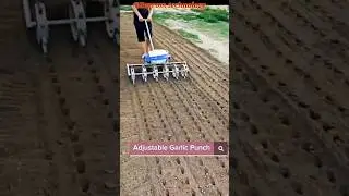farming equipment garlic machine