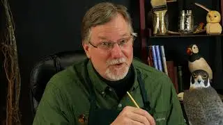 Introduction: How to Paint Wildfowl Carvings