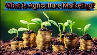 What is Agriculture marketing its objective and importance