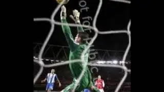 goalkeeper (mike pollitt)wigan athletic