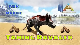 Taming Ravager || How To Tame Ravager Ark Ultimate Survival Mobile Edition #arkmobile