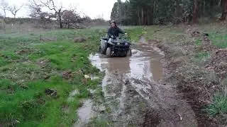 Kawasaki kvf 300