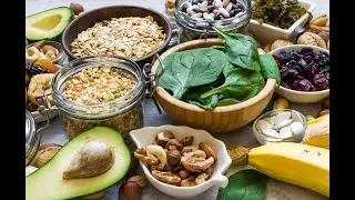 An Introduction To Synogut Reviews - Synogut - Synogut Review - Synogut Real Reviews
